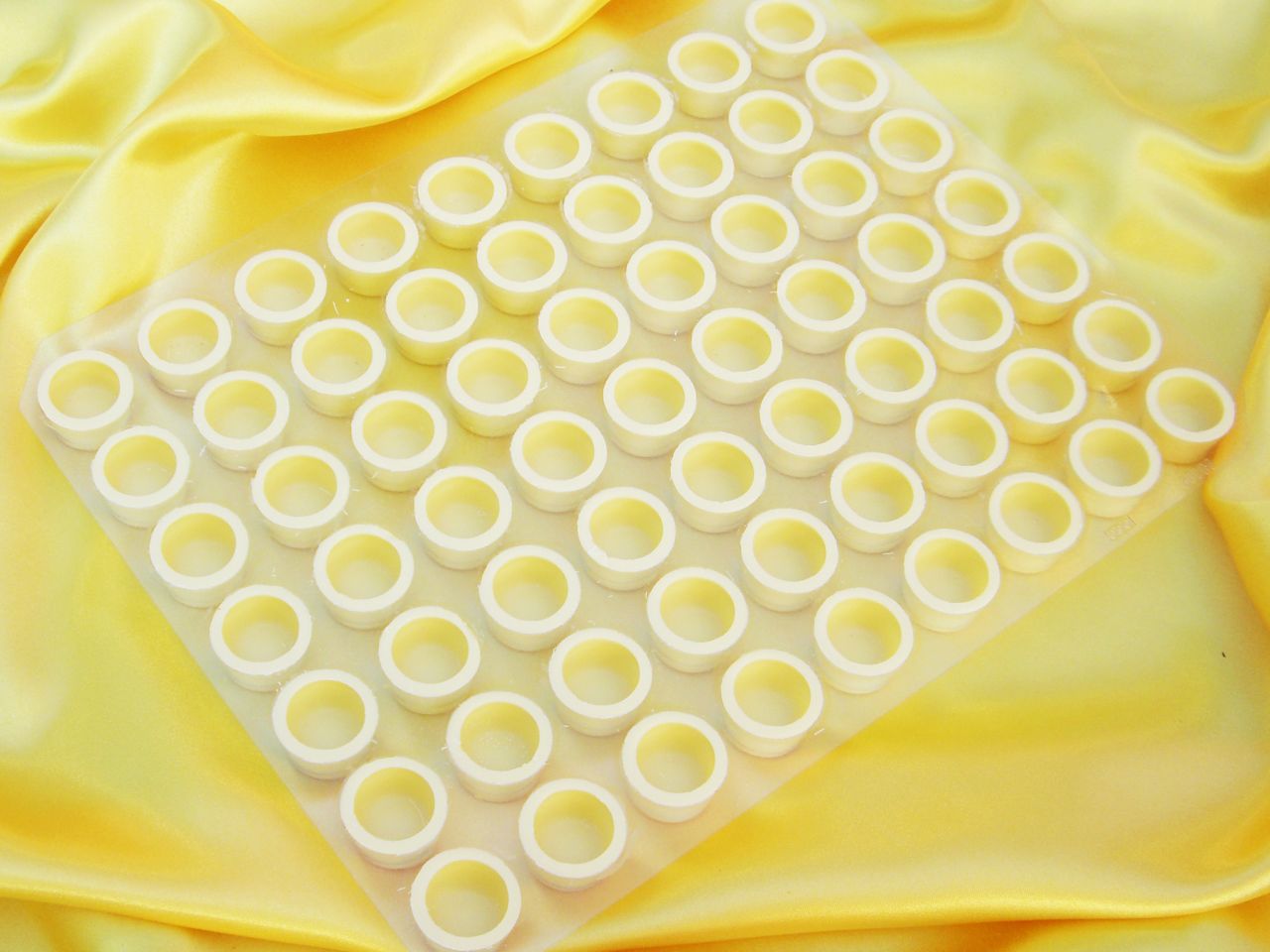 1 sheet circular shells white