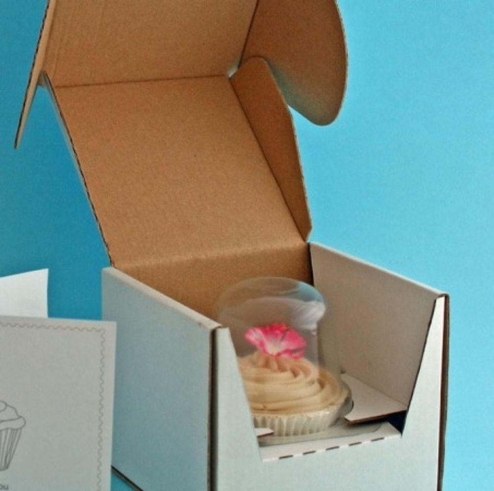 cupcake transportbox fuer 1 cupcake versandgeeignet