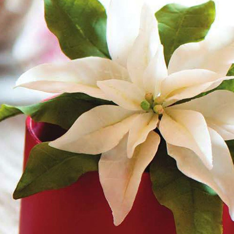 flower cutter set with book english winter flowers decora