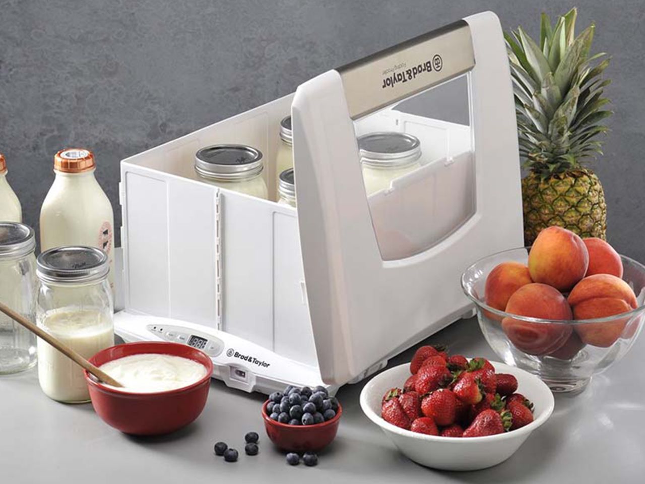 gaerautomat brod taylor fp 205