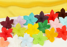 Powder colours for fine Akzente auf cakes and pastries