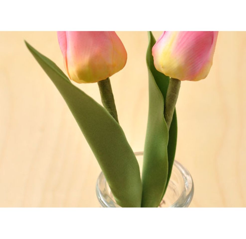 squires kitchen tulip leaf veiner set 18cm