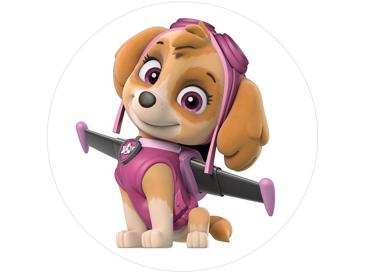 tortenaufleger paw patrol skye rund 20cm