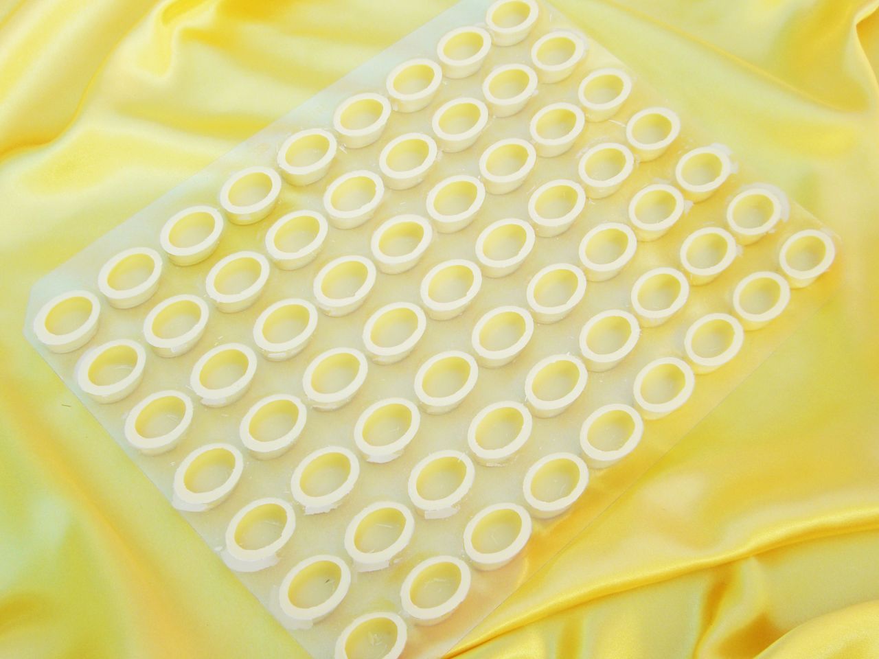 13 sheets oval shells white