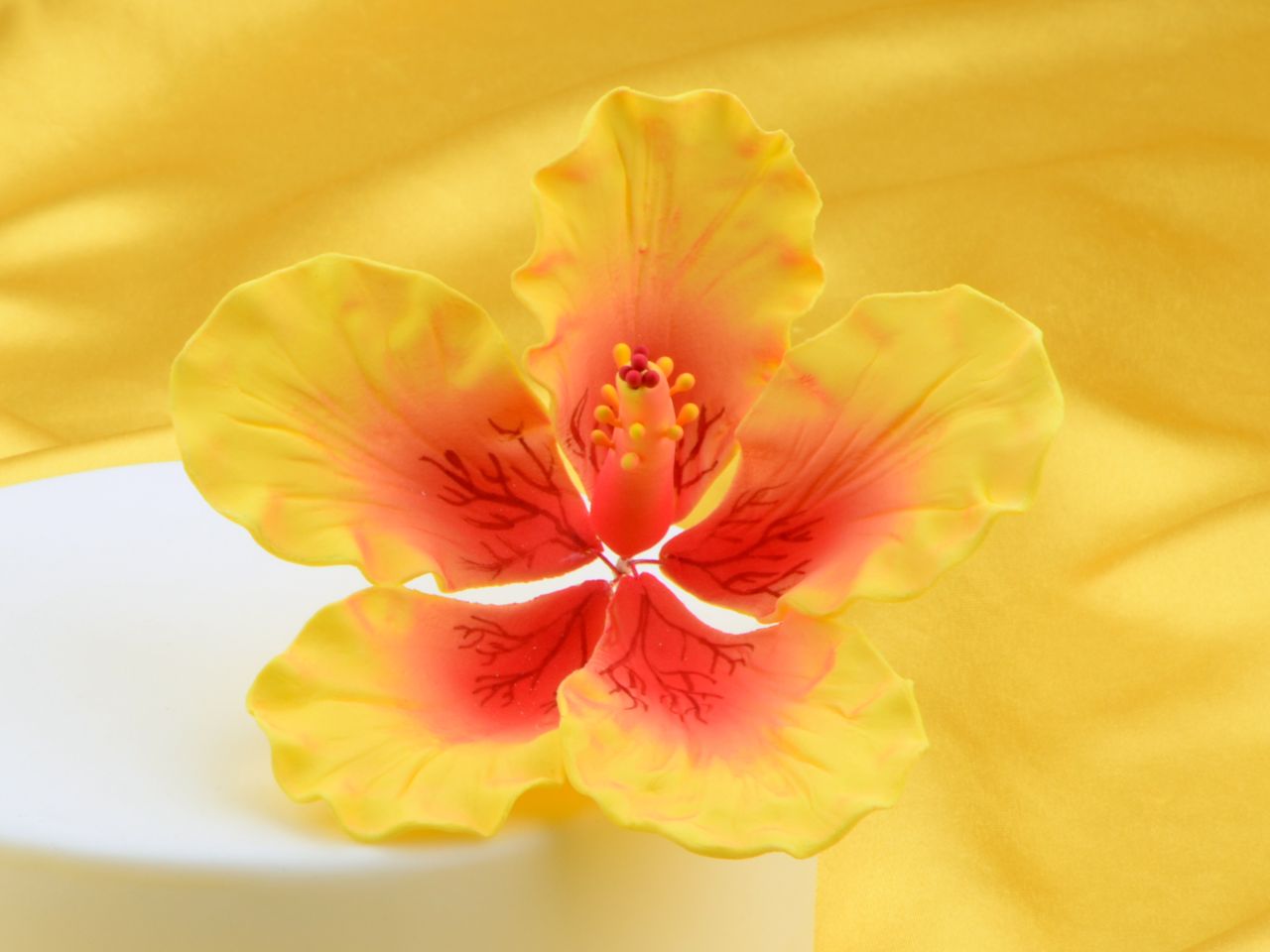 feinzucker bluete hibiscus giant