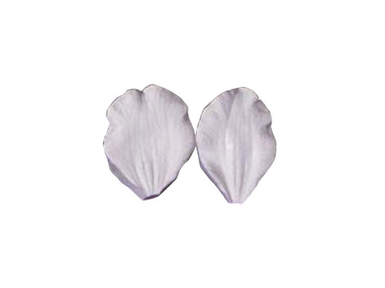 sk veiner clematis montana alba praeger 4 0 cm 2er set