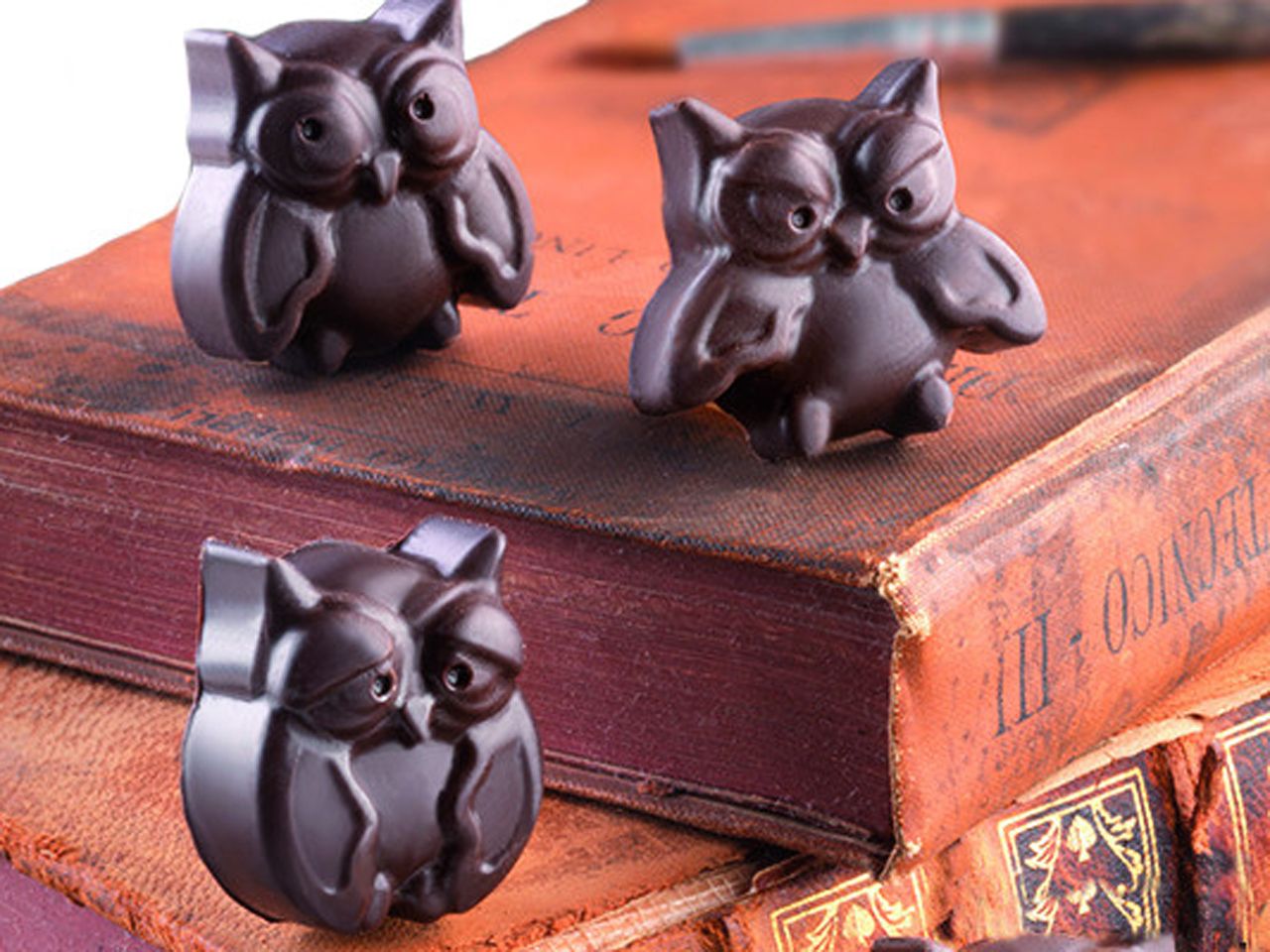 silikon pralinenform choco gufi