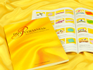 Katalog
