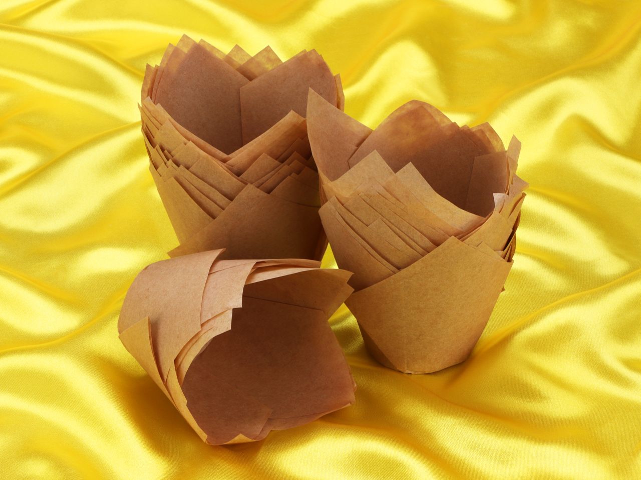 muffin tulips kraft 36 stueck