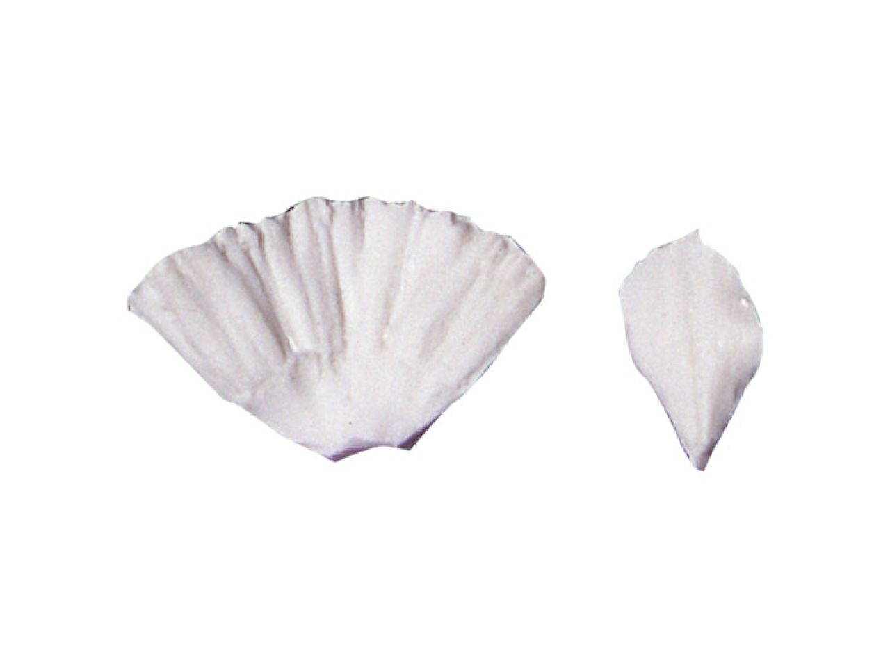 sk veiner narzisse set 4 5cm und 3 0 cm