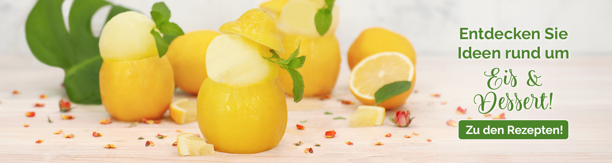 https://www.pati-versand.de/media/65/f6/a3/1781528543/Themenwelten_Banner_Eis_und_Dessert_Desktop.jpg?ts=1781765144