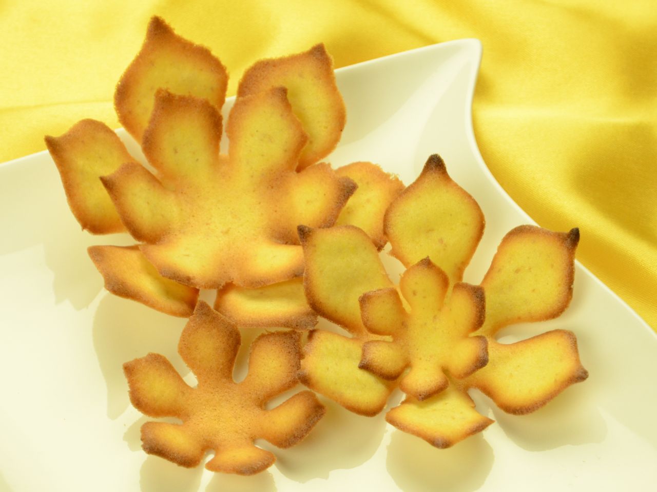 hippen stencil magnolia 5 elements