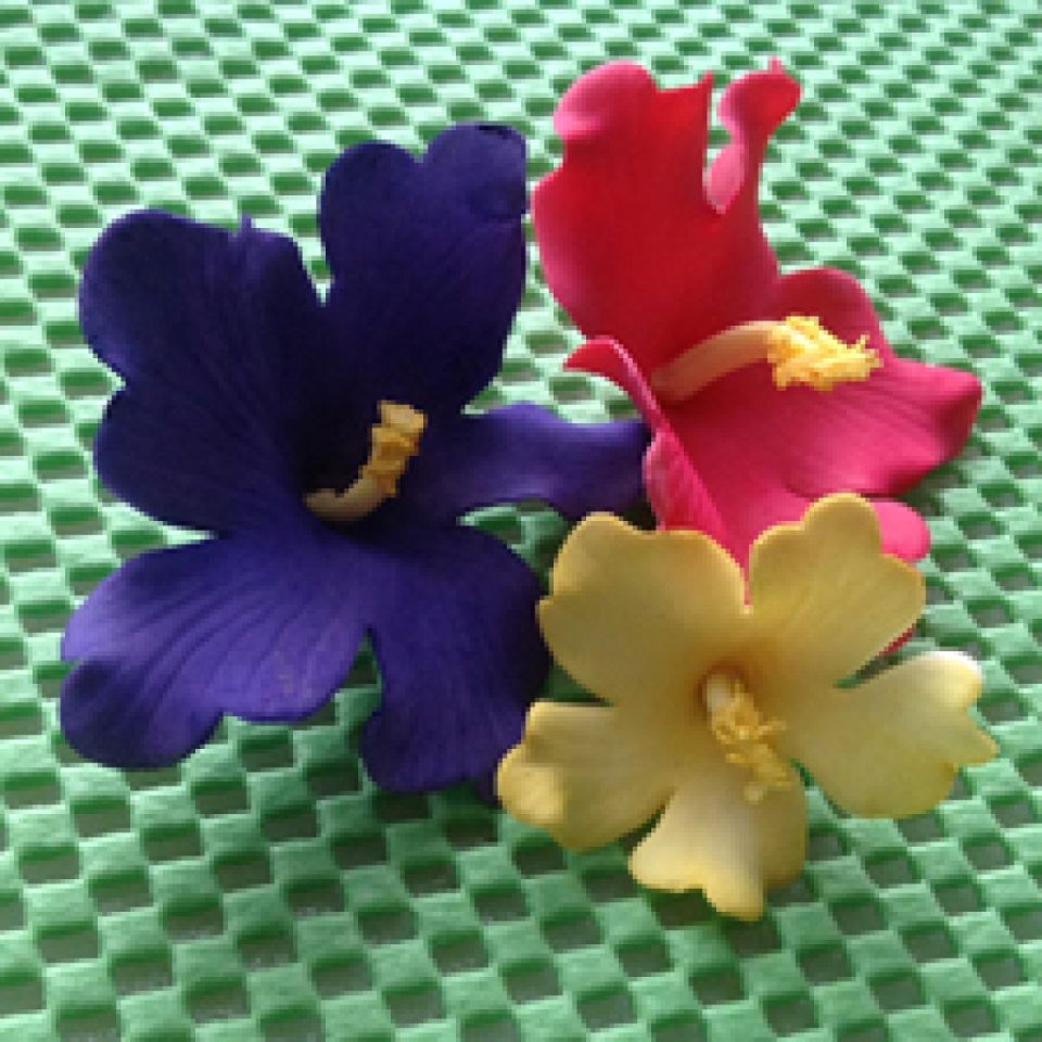 fmm ausstecher fuer fondant bluetenpaste hawaiian flower 3 stk