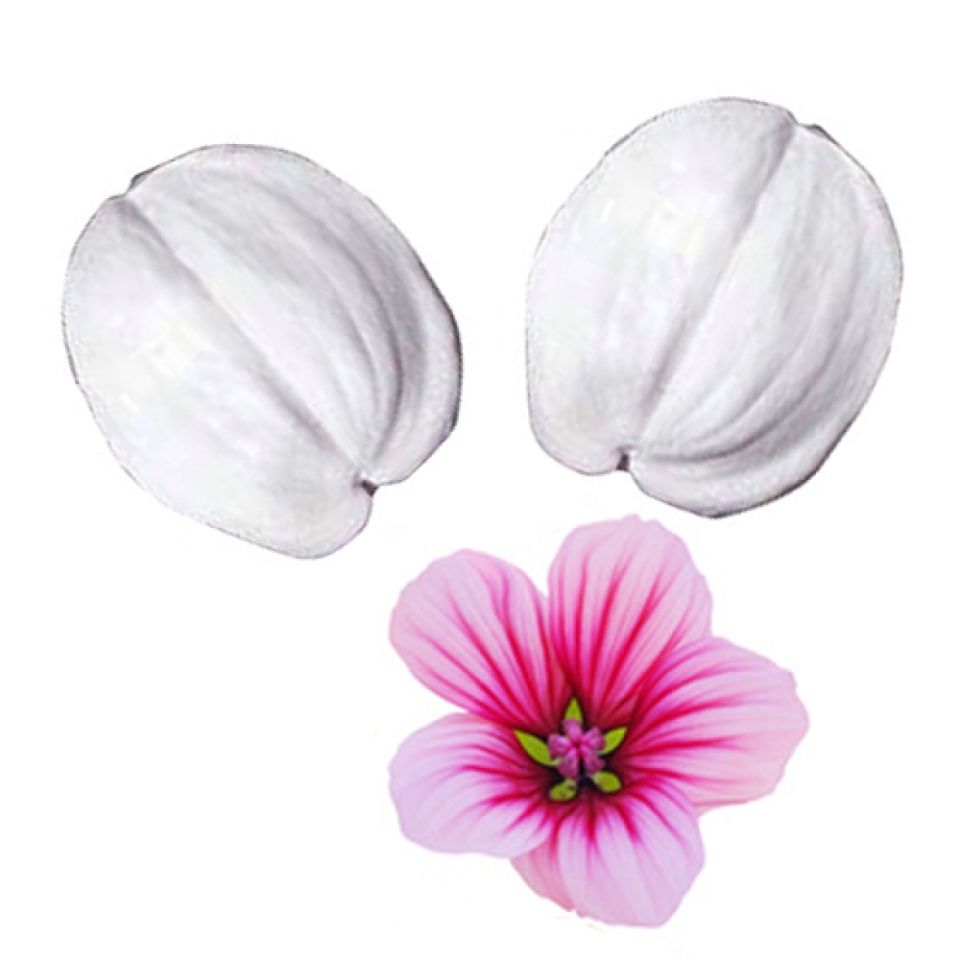 squires kitchen anthurium veiner 5 5cm