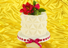 Cake moulds for creative desserts and cakeskunst
