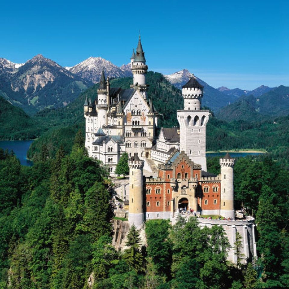 neuschwanstein castle cookie cutter red