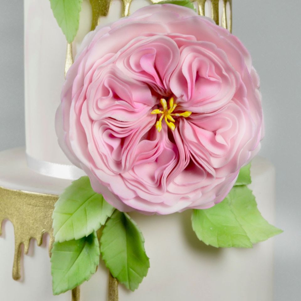 fmm ausstecher a very english rose set