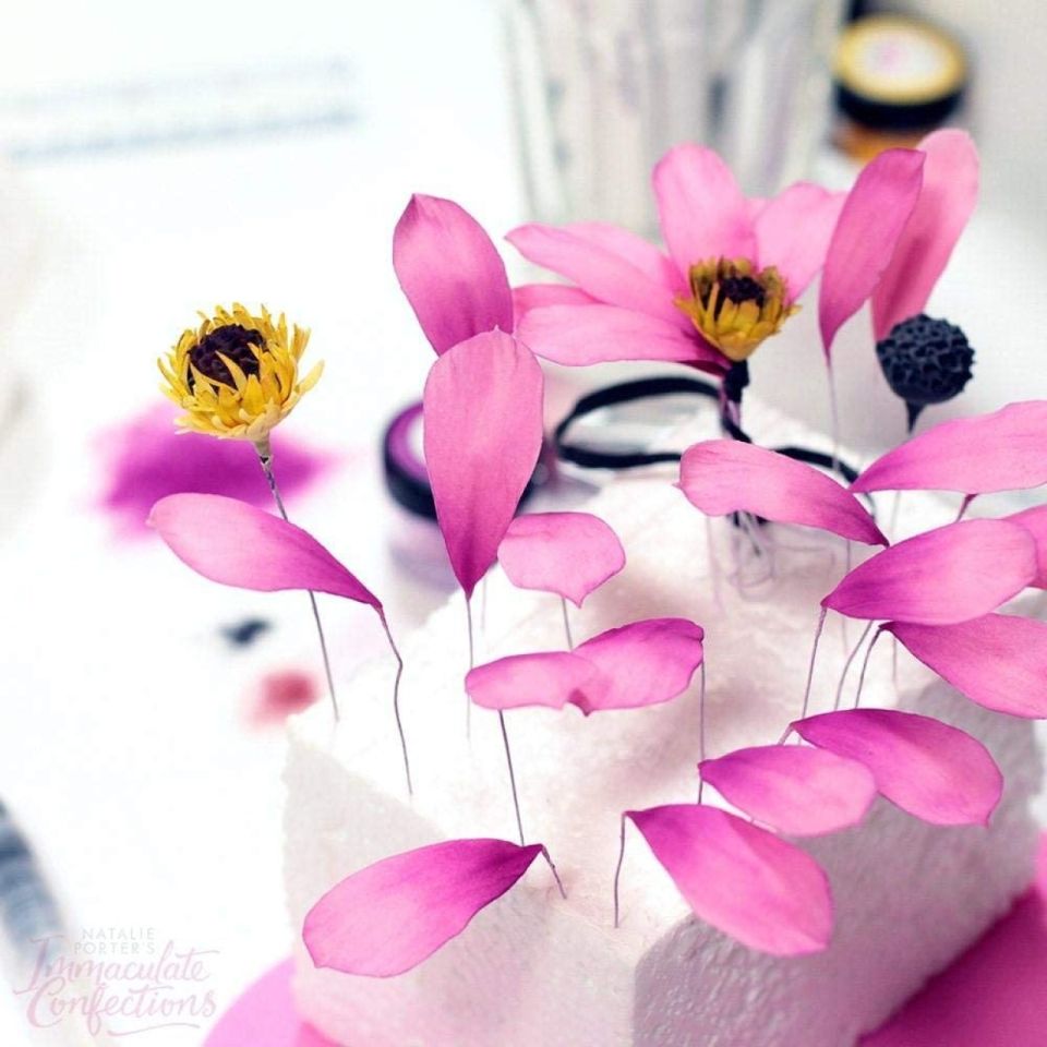 fmm blumen und blaetter multi ausstecher set