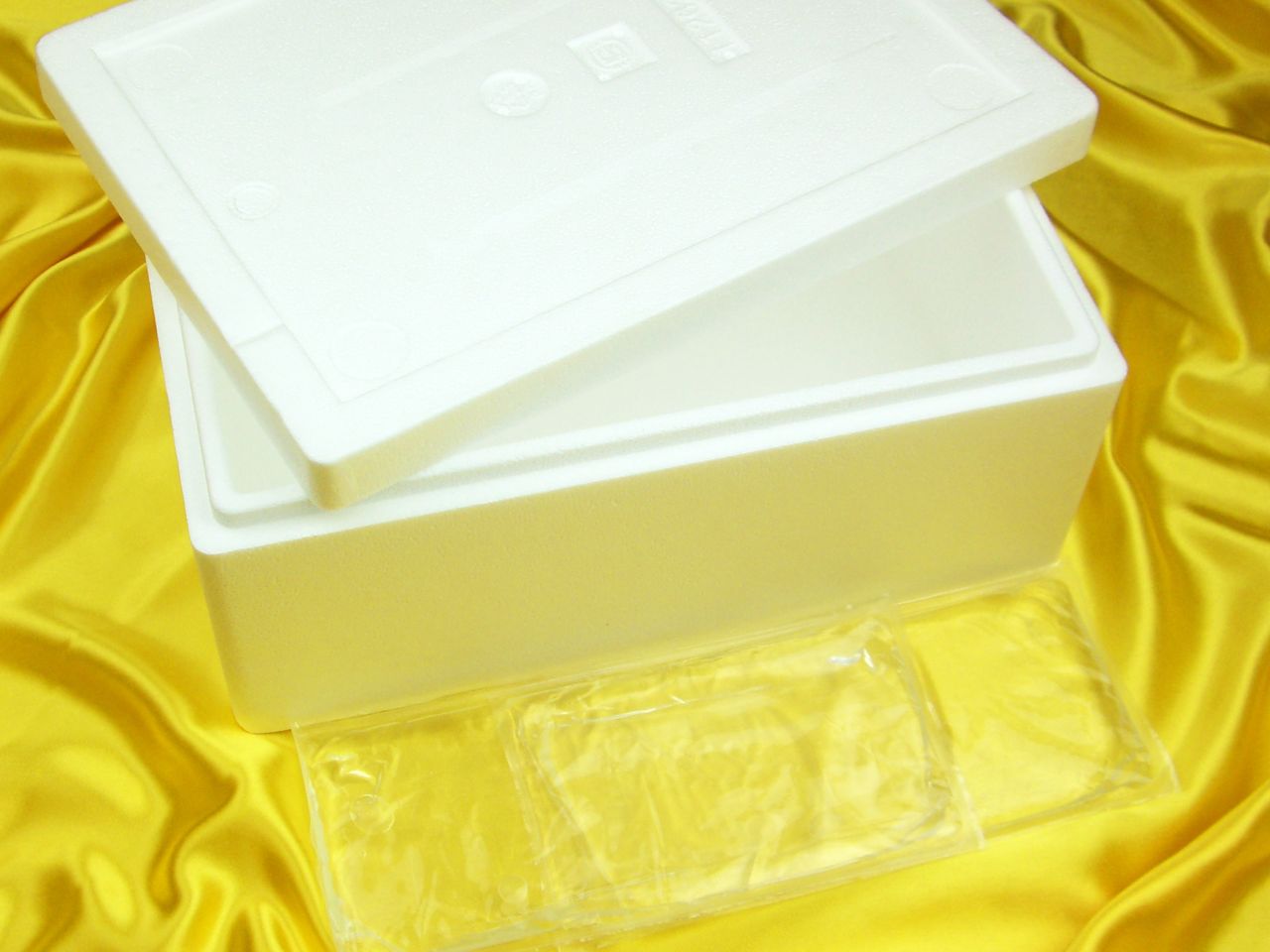 thermo box incl cooling packs