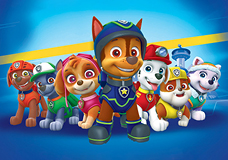 Paw Patrol cake toppers made from fondant paper for cake decorations