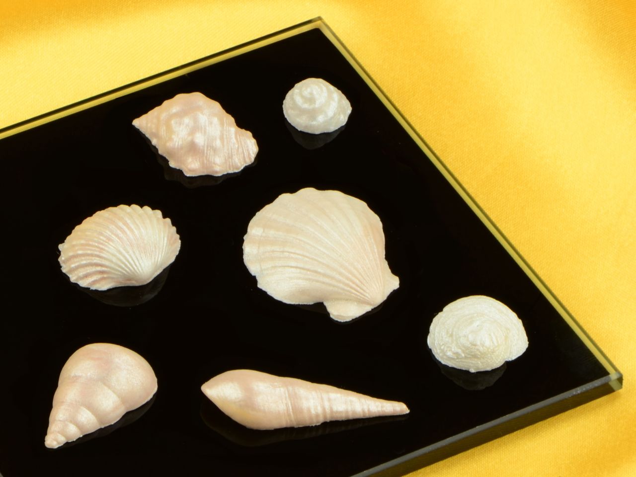 flexform muscheln