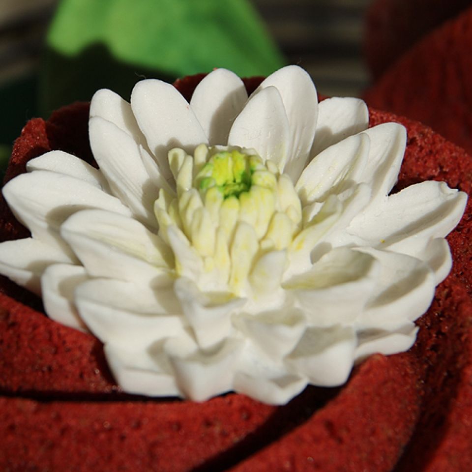 fondantform chrysanthemen
