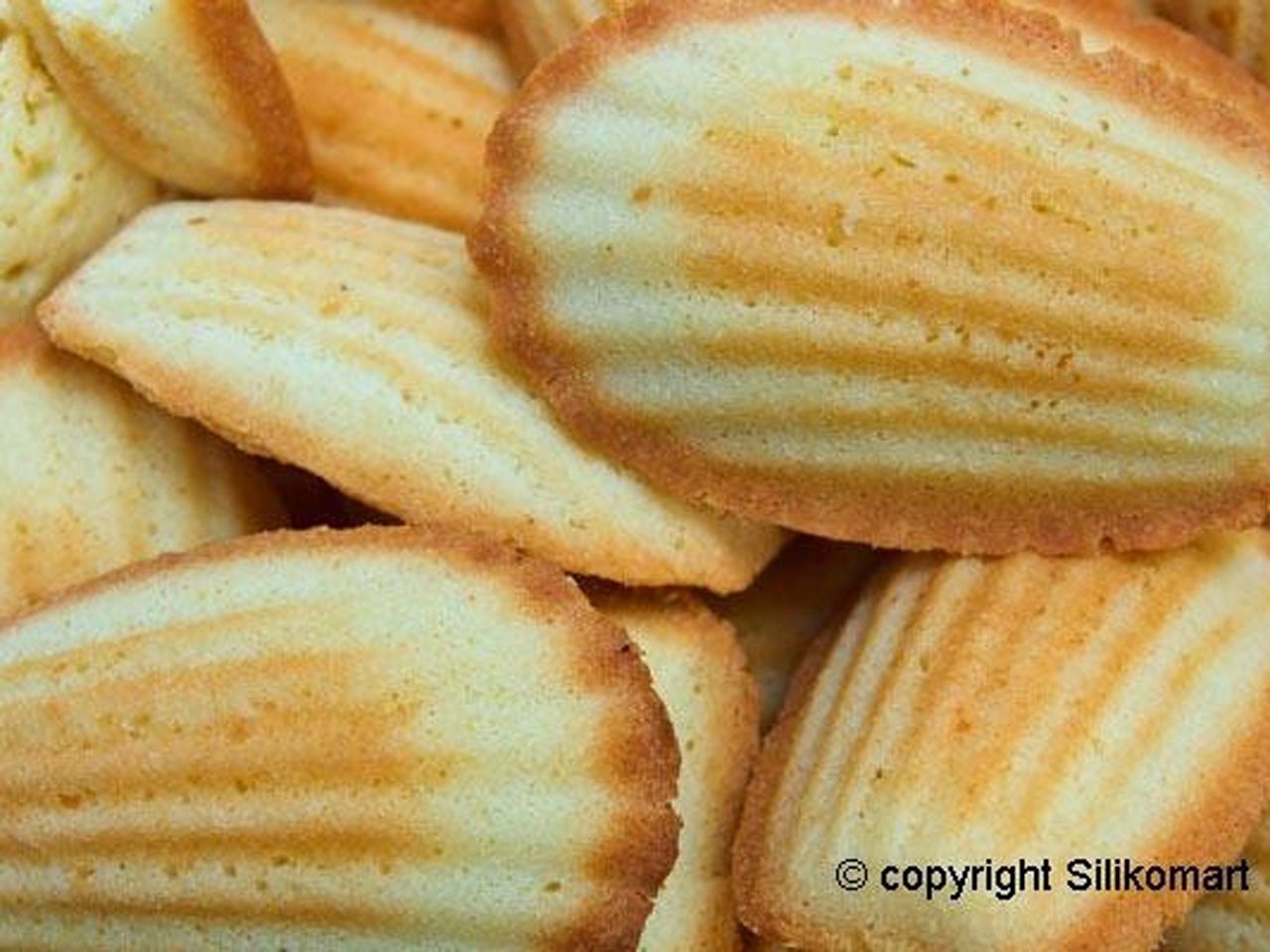 silicone mould mini madeleine