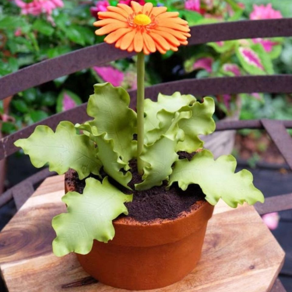 flowerpot cake comb set 10 cm and 15 cm