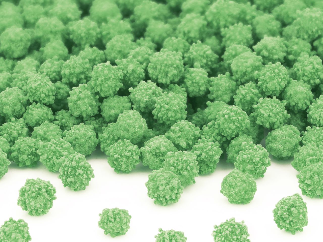 mimosa green sugar 100g