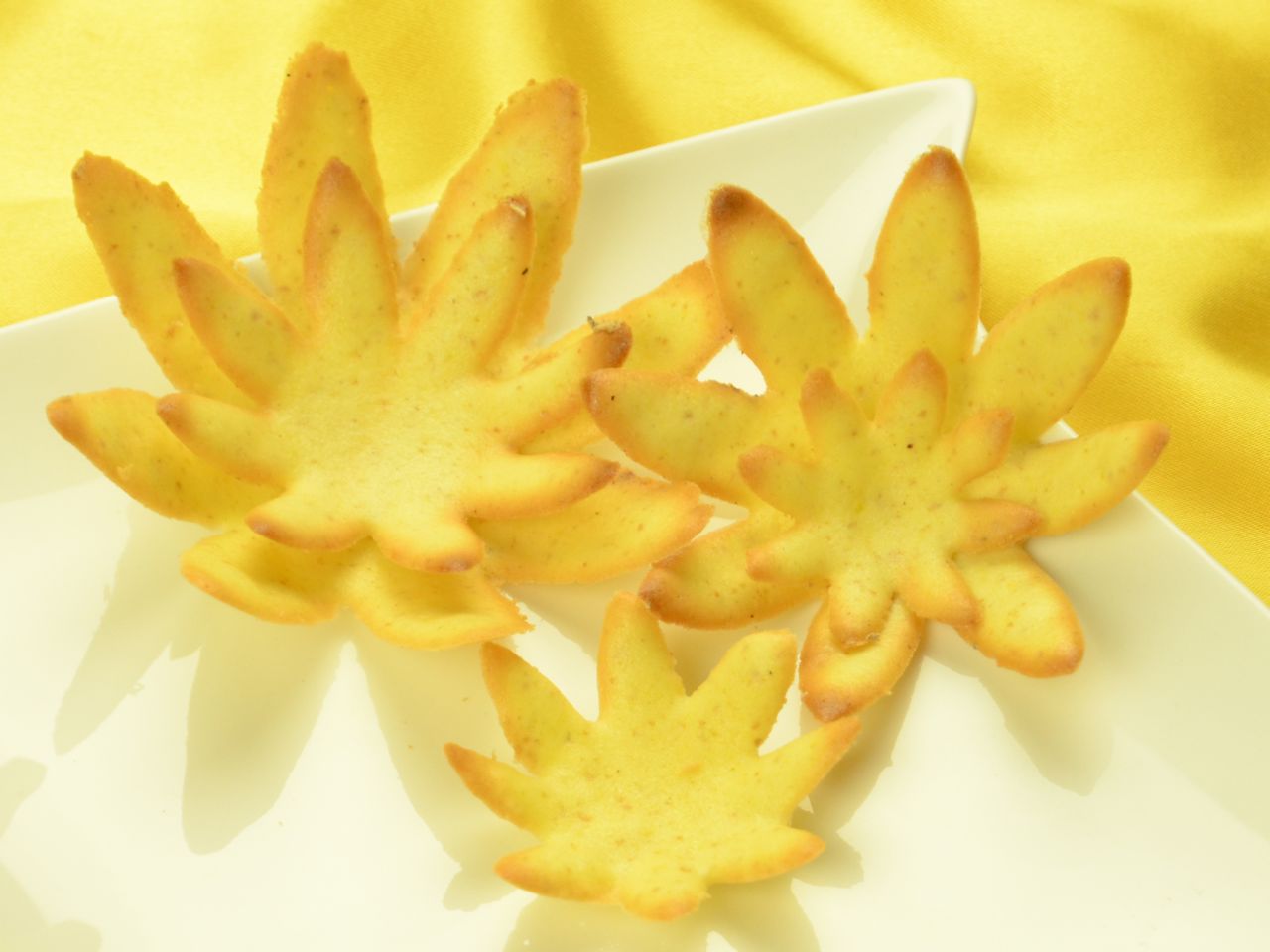 hippen stencil water lily 5 elements