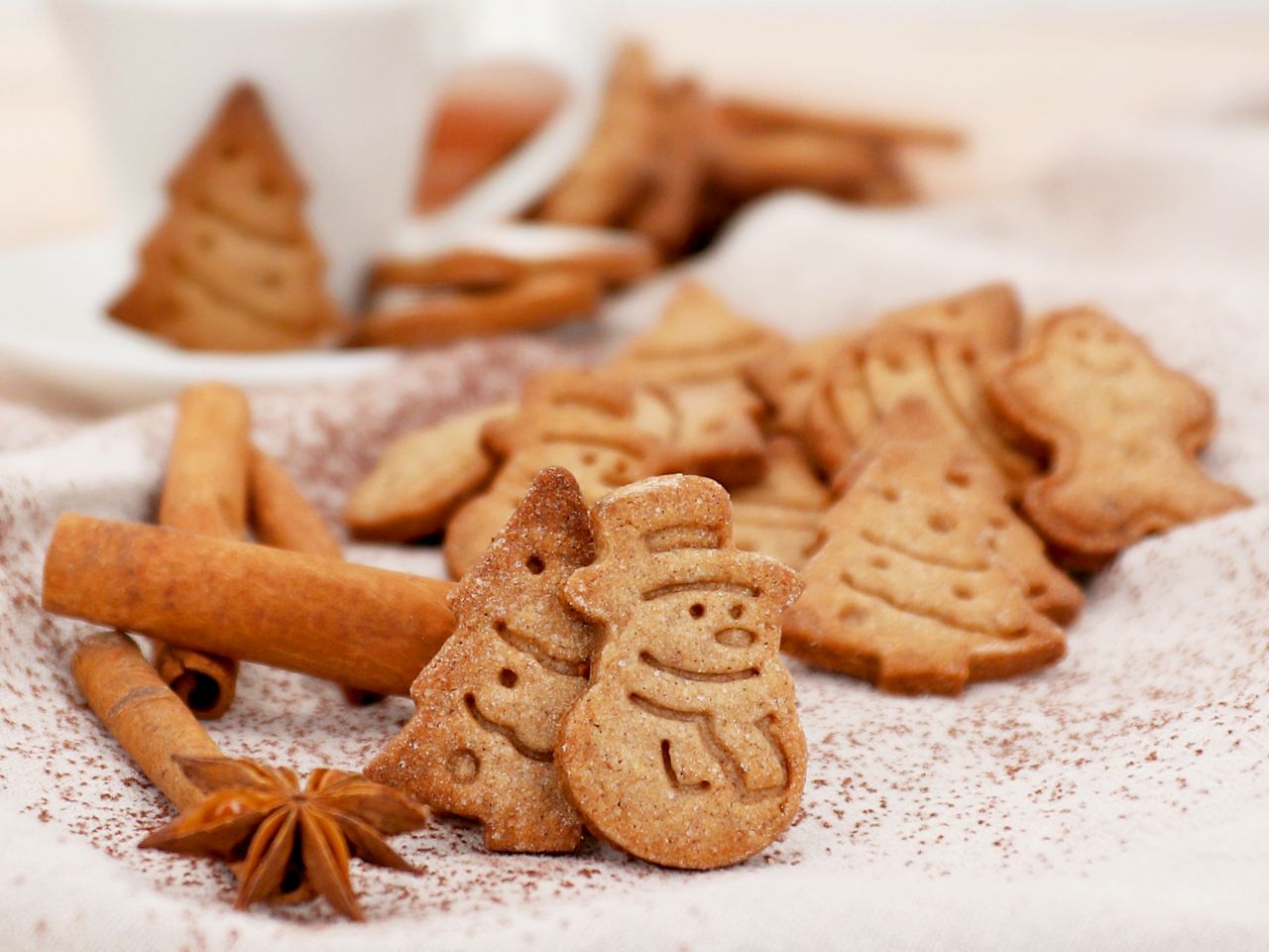 speculoos 500g