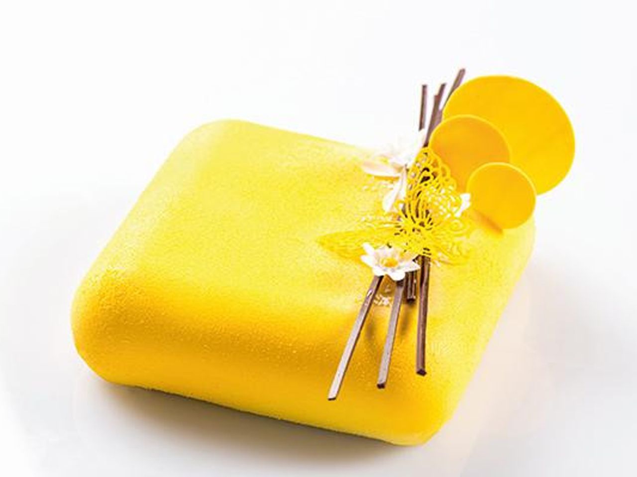 silicone mould gem1000