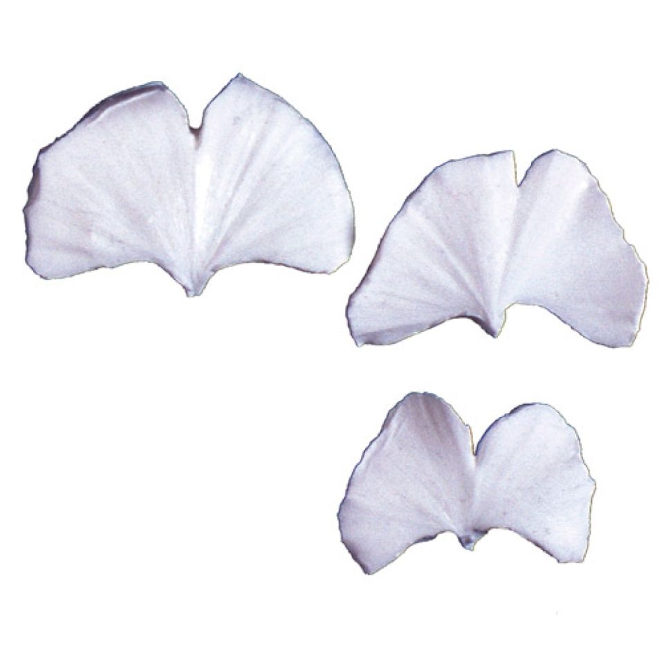 squires kitchen ginkgo leaf veiner for flower paste 3 piece set