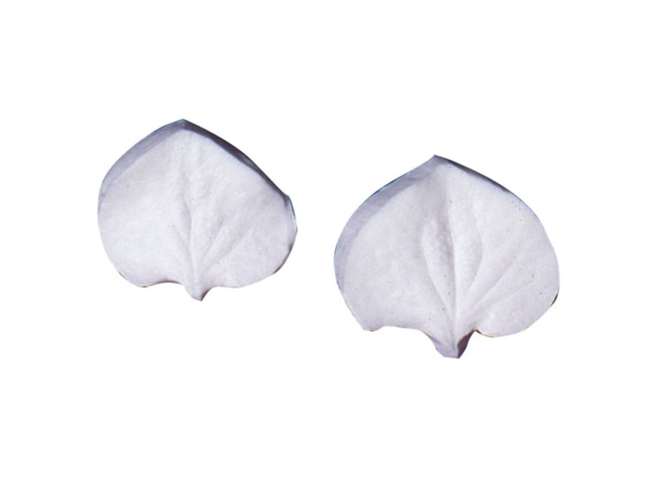 sk veiner hydrangea l 3 6x3 9 cm