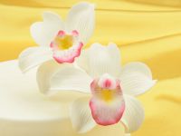 Feinzucker Blüten Cymbidium Orchid 2er
