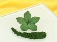 Sugarflair Blossom Tint Foliage Green 7ml