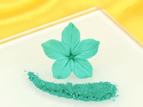Food Colouring Powder Light Teal 4g