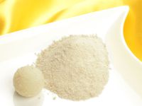 Fruchtpulver Banane 100g