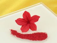 Sugarflair Blossom Tint Blush Pink 7ml