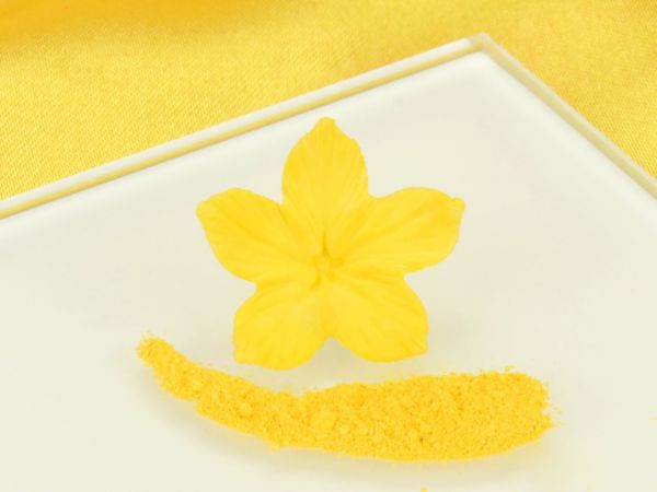 Food Colouring Powder Primrose Yellow 4g