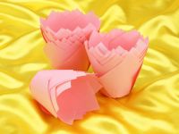 Muffin Tulips baby pink 36 pieces