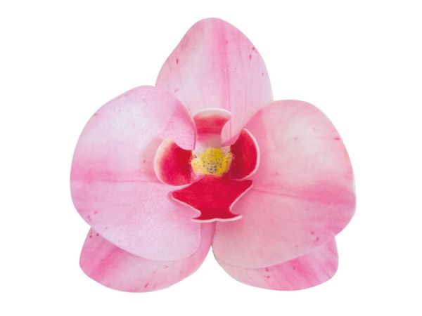 Wafer-Paper Orchidee pink 7,5-8,5cm 10 Stück