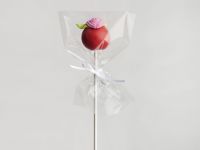 Cake-Pops Tüten 10x15cm 48 Stück