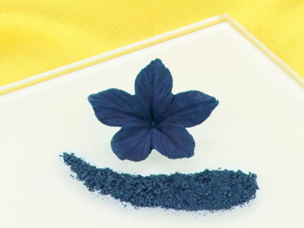 Food Colouring Powder Navy Blue 2g