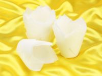 Muffin Tulips white 36 pieces