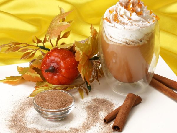Pumpkin Spice 80g