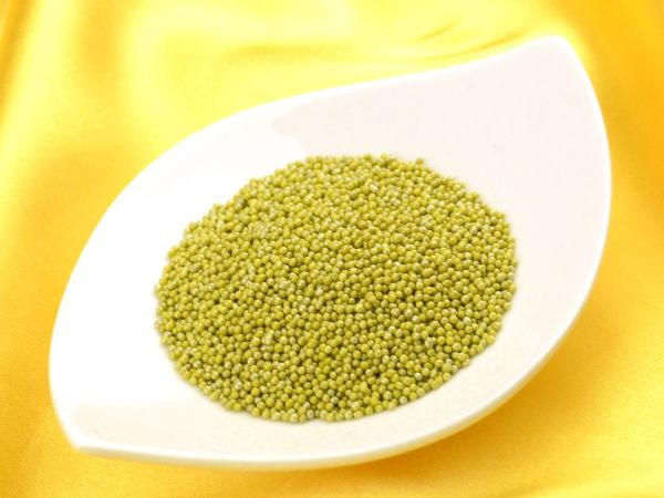 Mini-Perlen olive-glimmer 1,0kg