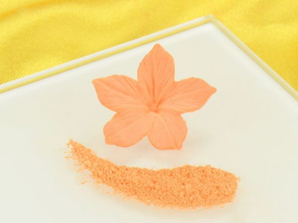 Food Colouring Powder Peach Delight 4g