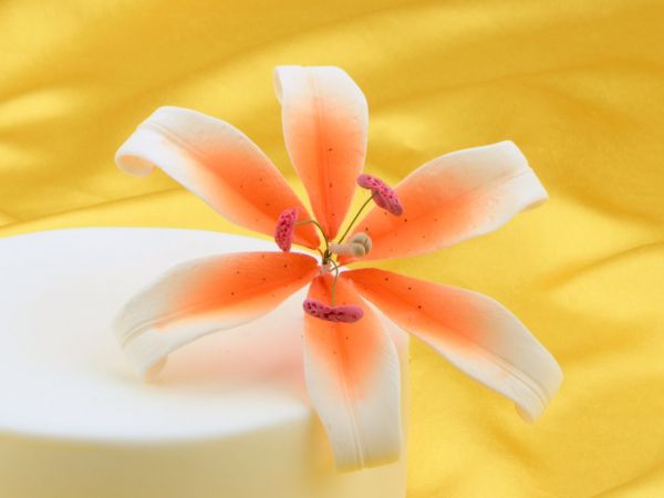 Fine sugar flower lily white orange spray