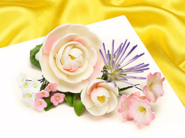 Sugar Bouquet Ranunculus